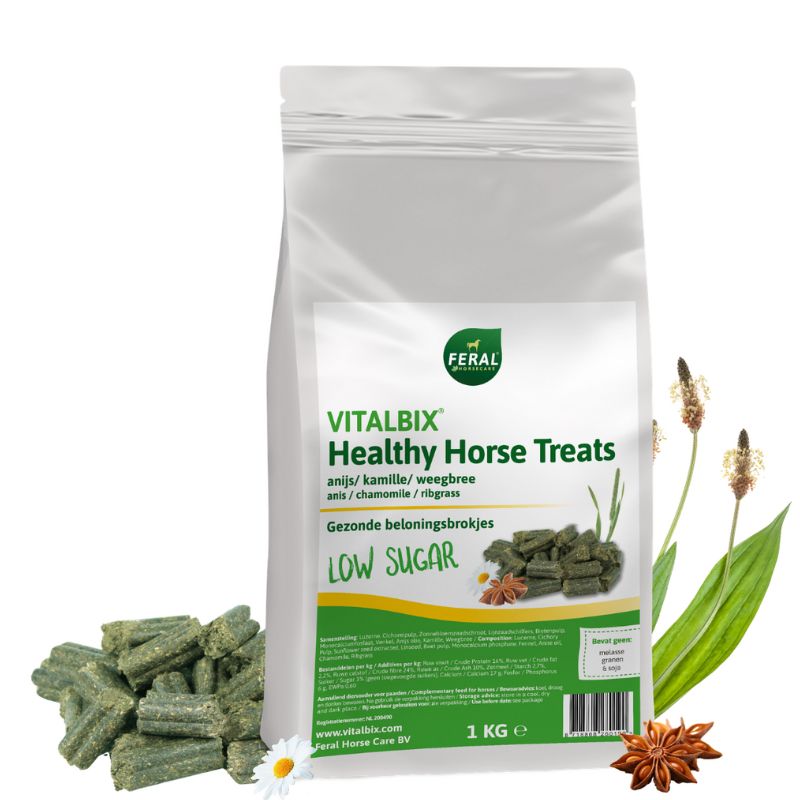 Healthy Horse Treats