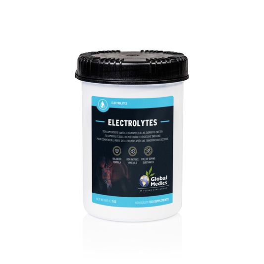 Electrolytes Powder