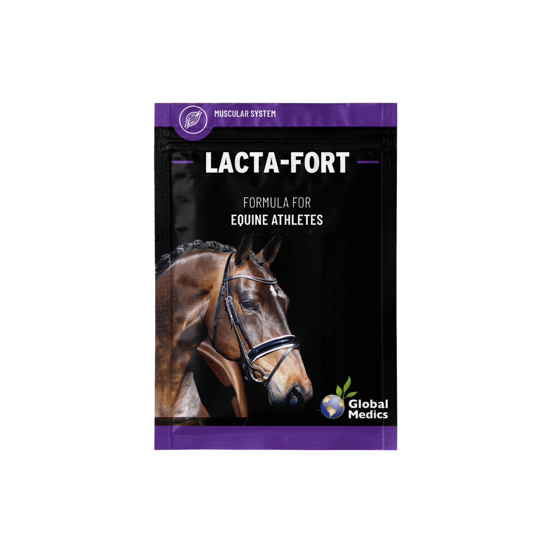 Lacta-Fort